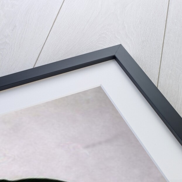 White-headed Sea Eagle by Charles Collins