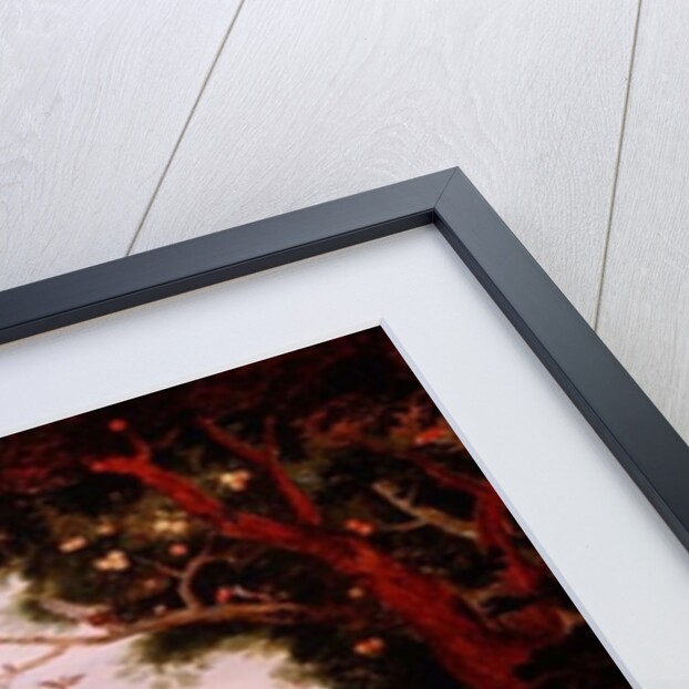 The Four Elements by Jan van the Elder Kessel