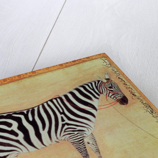 Zebra by Mansur (attr. to)