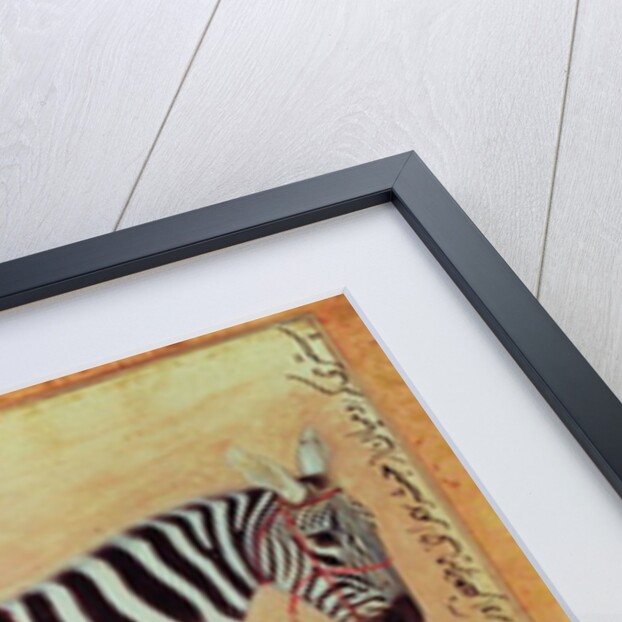Zebra by Mansur (attr. to)