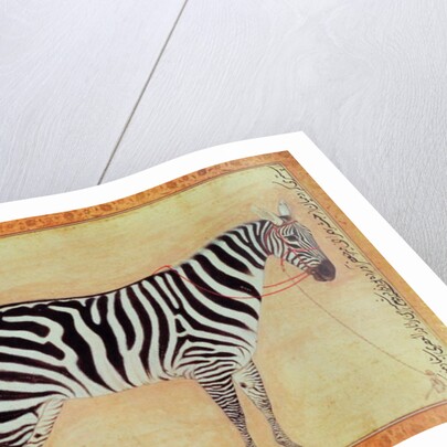 Zebra by Mansur (attr. to)