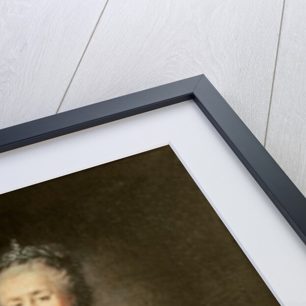 Catherine the Great, 1793 by Johann Baptist I Lampi