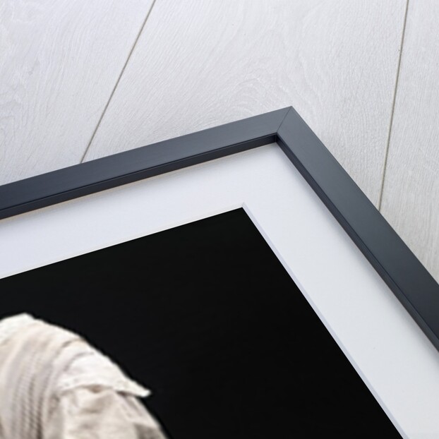 Crinoline dress, 1850-60 by English School