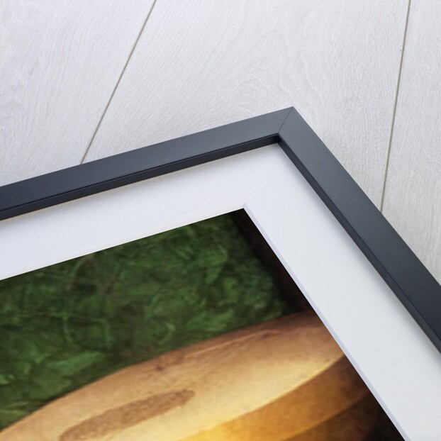 The Ambassadors, detail, 1533 by Hans Holbein the Younger