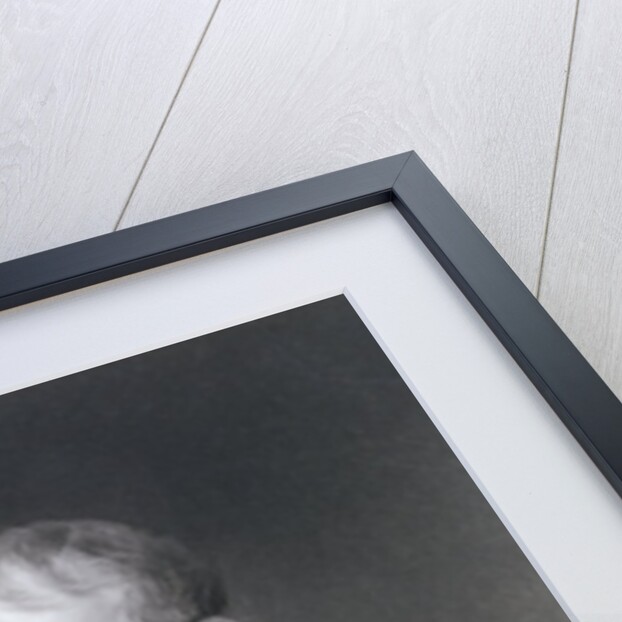 Portrait of Joseph Thomson, 1903 by Arthur Hacker