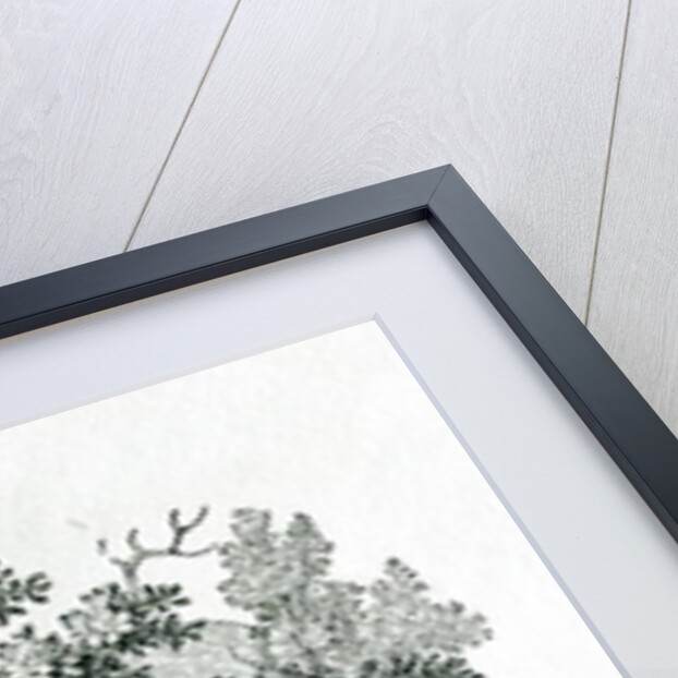 An Angler in a River Pool by Thomas Bewick