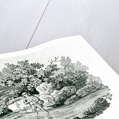 An Angler in a River Pool by Thomas Bewick