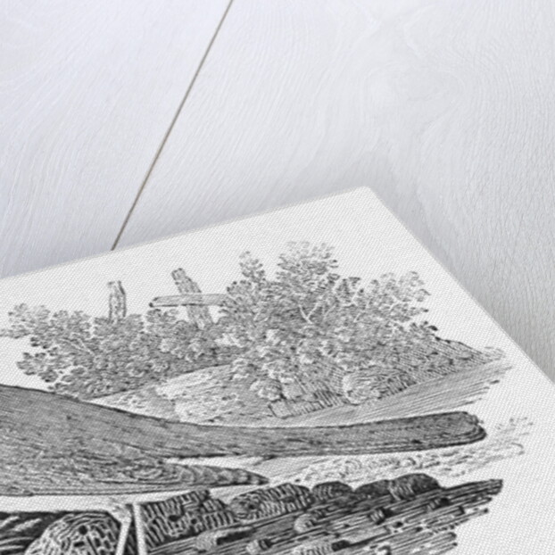 The Nightingale from the 'History of British Birds' Volume I, pub. 1797 by Thomas Bewick