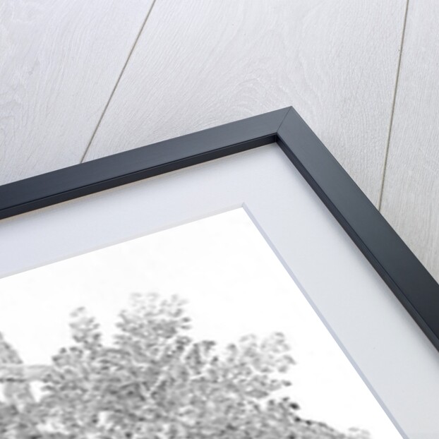 The Nightingale from the 'History of British Birds' Volume I, pub. 1797 by Thomas Bewick