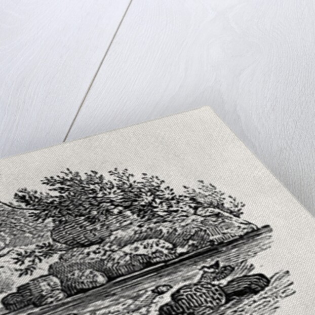 A bend in the river by Thomas Bewick