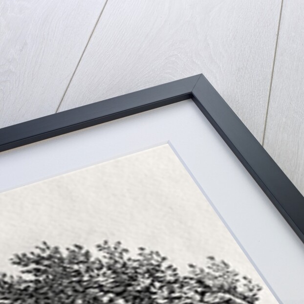 A bend in the river by Thomas Bewick