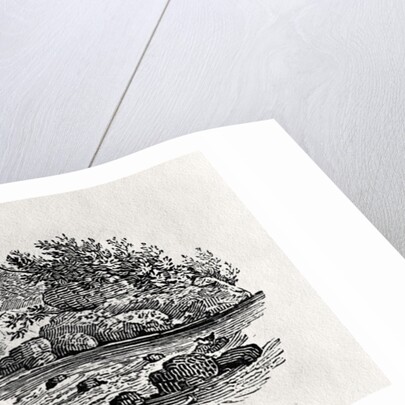 A bend in the river by Thomas Bewick