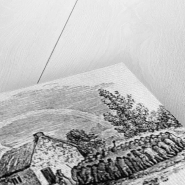 Cockfight Outside an Inn, c.1801 by Thomas Bewick