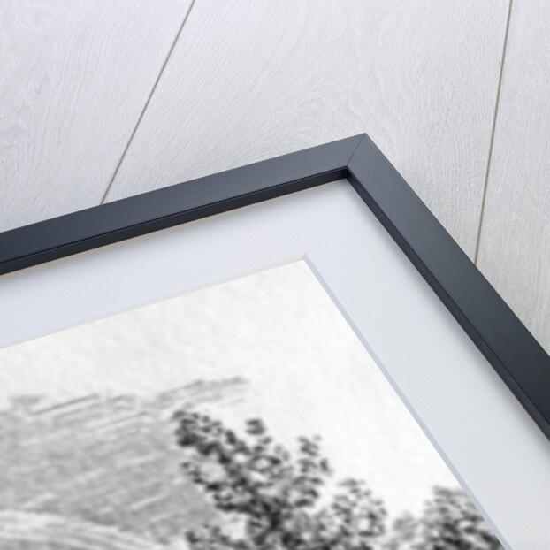 Cockfight Outside an Inn, c.1801 by Thomas Bewick