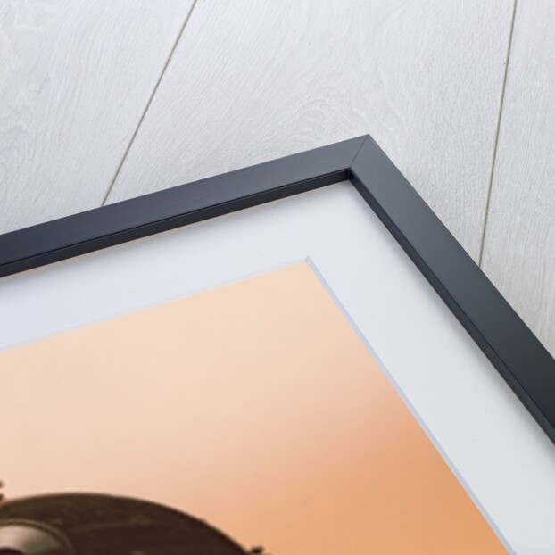 Detective cameras: 'Stoin' Waistcoat, 1899 and 'Ticka', 1907 by School English