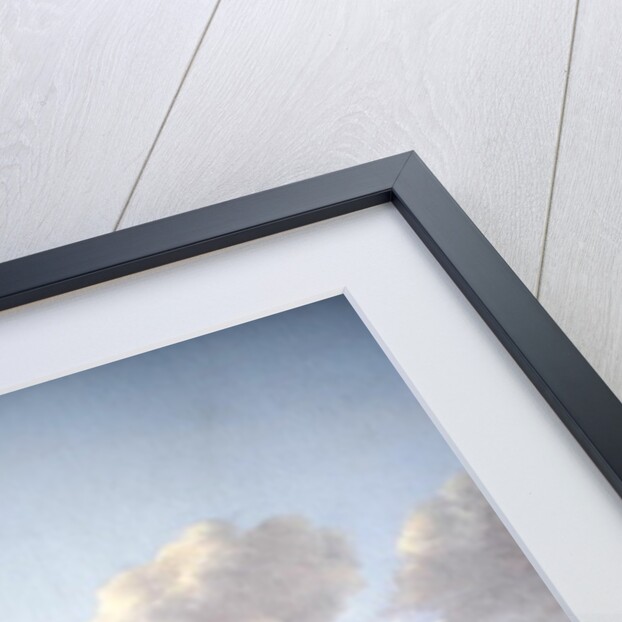 The Grote Markt, Haarlem, looking west by Gerrit Adriaensz Berckheyde
