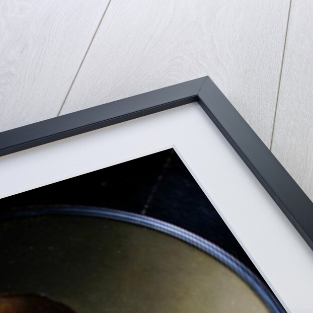 The Fish Seller by Willem van Mieris