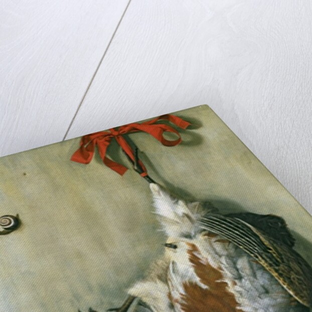 Trompe l'Oeil with Partridge, 1666 by Hendrik de Fromantiou