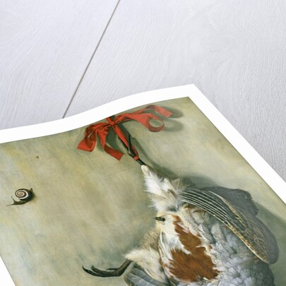 Trompe l'Oeil with Partridge, 1666 by Hendrik de Fromantiou
