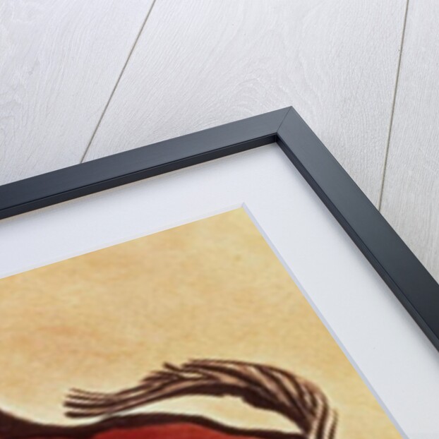 Rock painting of a bison, late Magdalenian, 13000 BC by Anonymous