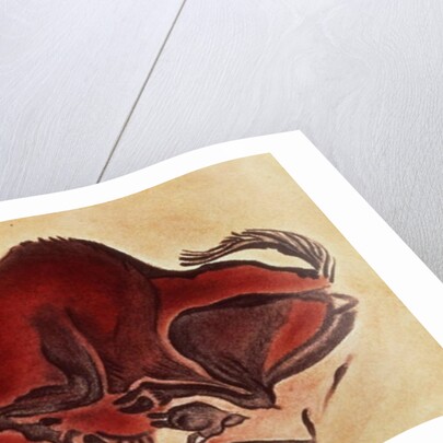 Rock painting of a bison, late Magdalenian, 13000 BC by Anonymous