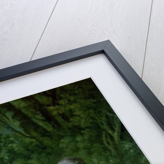 Madame de Pompadour, 1758 by Francois Boucher