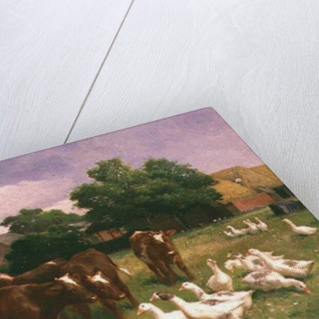 Cows and Ducks by Claude Cardon