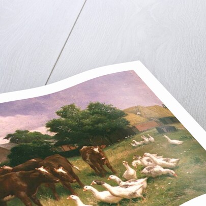 Cows and Ducks by Claude Cardon