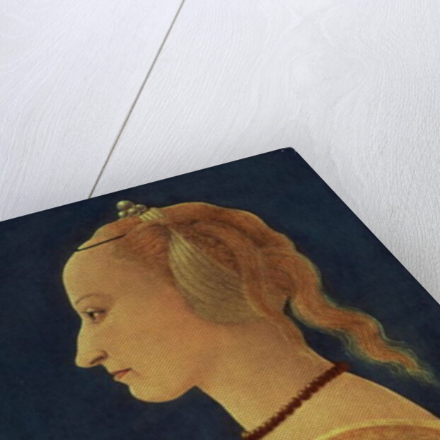 Portrait of a Lady, c.1465 by Alessio Baldovinetti