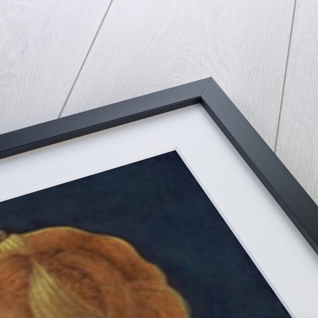 Portrait of a Lady, c.1465 by Alessio Baldovinetti