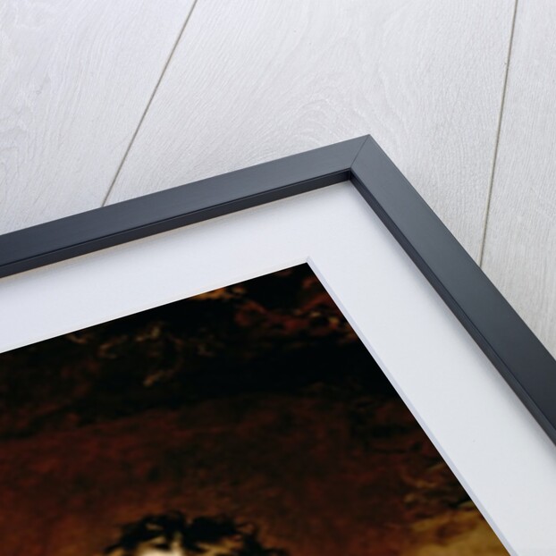 Master Charles William Lambton, 1825 by Thomas Lawrence