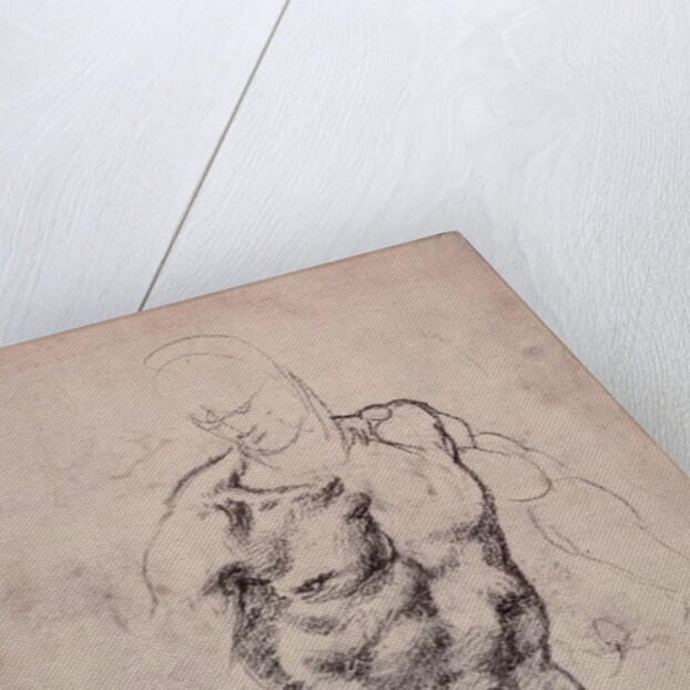 Figure Study by Michelangelo Buonarroti