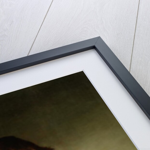 Portrait of a Young Man, in a Black Costume with a White Lace Collar by Jacob Gerritsz Cuyp