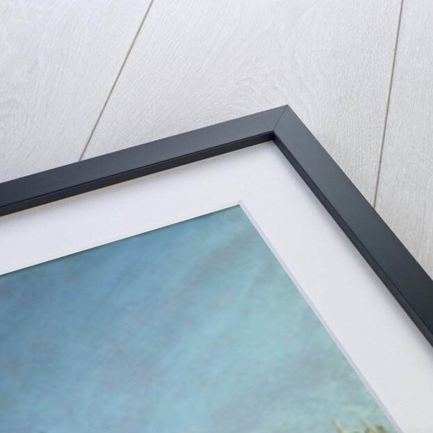 The Molo Looking West with the Doge's Palace in the Distance by Bernardo Bellotto