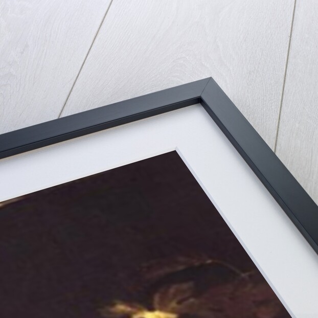 Still Life of Fruit with a Lobster by Johannes Borman