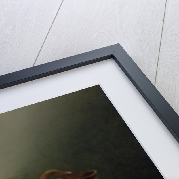 A Vanitas Still Life by Pieter Claesz