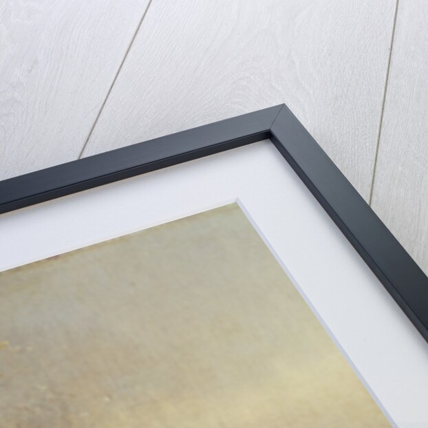 Children Skating, 19th century by Anton Doll