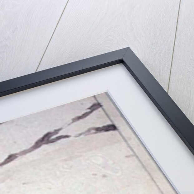 In The Snow by J. MacWilson