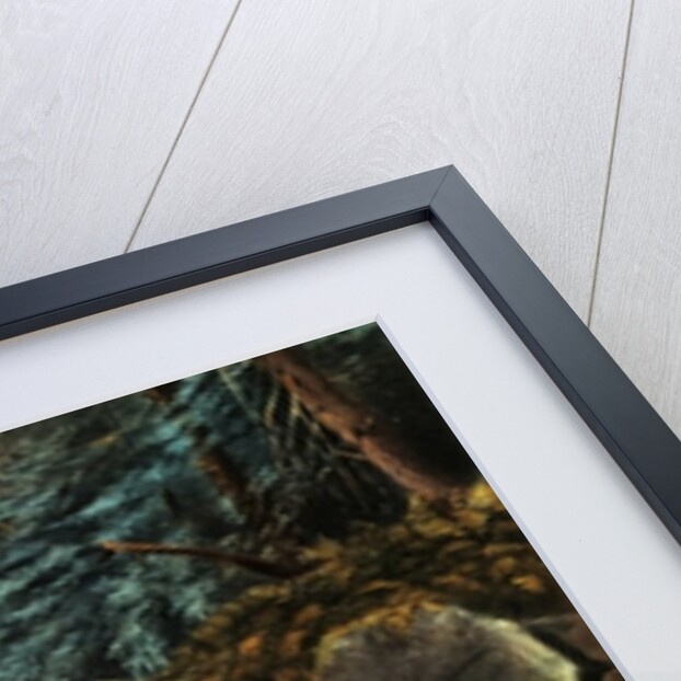 Brook Trout Fishing - An Anxious Moment, 1862 by N. and Ives J.M. (1824-95) Currier