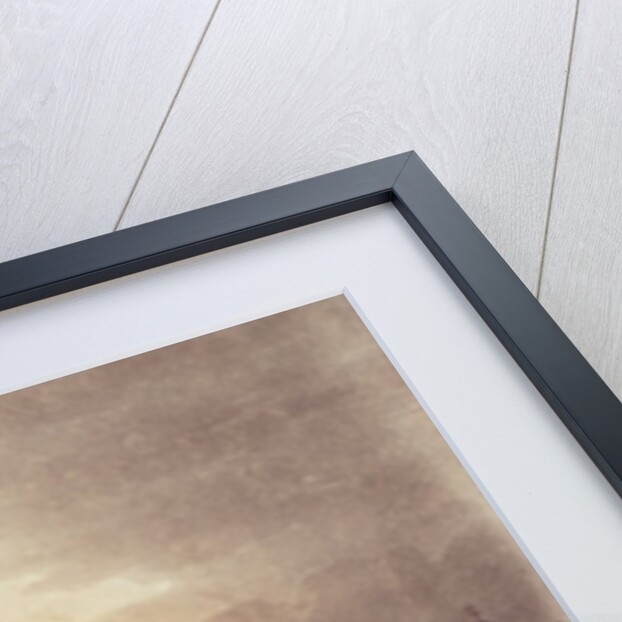 Queen's Palace, St. James's Park by T. & Pugin A.C.(1762-1832) Rowlandson