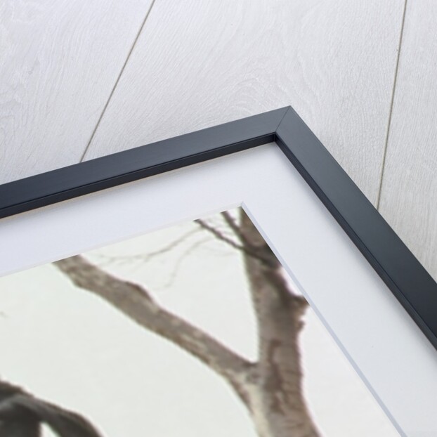 Boadicea, 1902 by Thomas Thornycroft