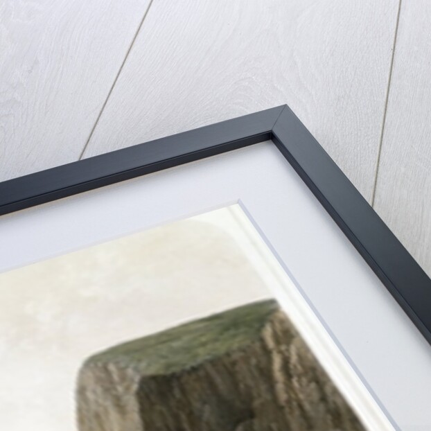 South Devon Railway: Landslip near the Parson and Clerk Rock, Dec. 29th 1852 by English School