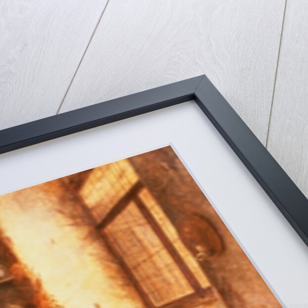 The student of chemistry and pharmacy by Karl Joseph Litschaur