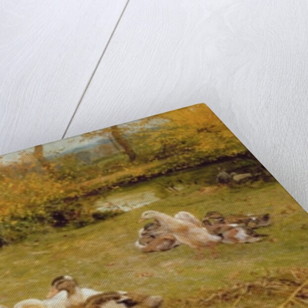 Feeding Ducks, 1883 by Edward Killingworth Johnson