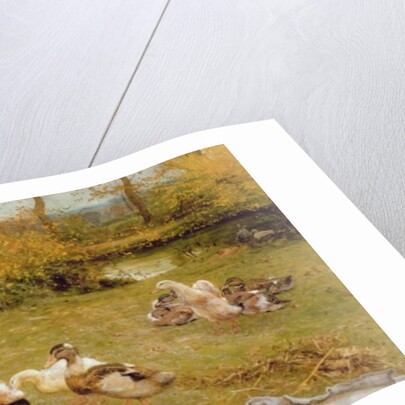 Feeding Ducks, 1883 by Edward Killingworth Johnson