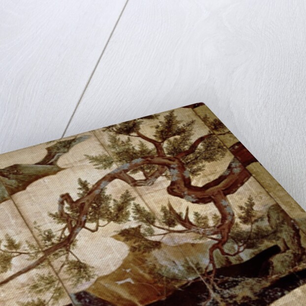 Cypress by Kano Eitoku, Muromanchi period by Eitoku Kano