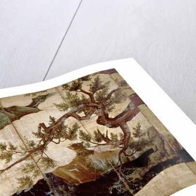 Cypress by Kano Eitoku, Muromanchi period by Eitoku Kano