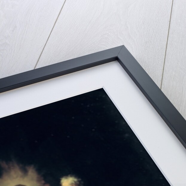 The Incredulity of St. Thomas by Rembrandt Harmensz. van Rijn