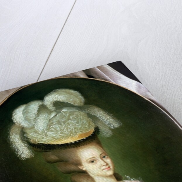 Portrait of a Lady in a Hat by J. Mulnier