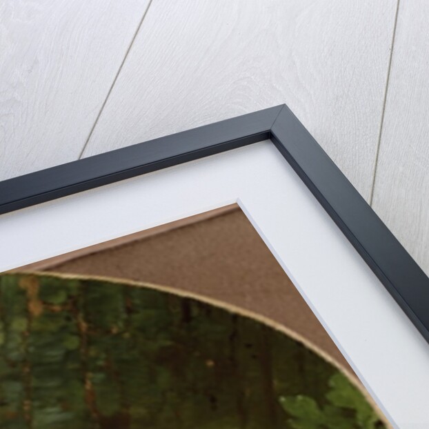 Portrait of a Poodle by Jean Jacques Bachelier